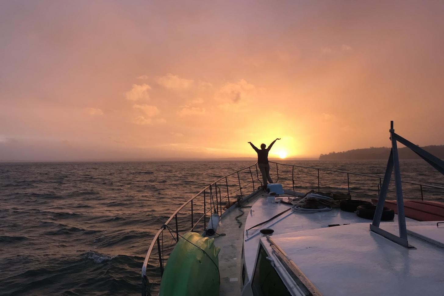 One of many beautiful work exchange sunsets in New Zealand.