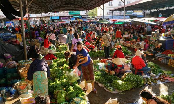 Working in Laos: How to Adapt to an Unfamiliar Work Culture