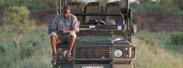 How to Become a Safari Guide