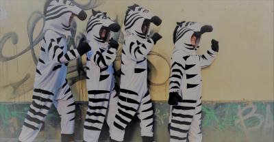 Yes, it&#039;s true—everything IS better with zebras!