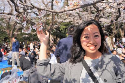 Lorraine enjoying the cherry blossoms at Yoyogi Park, Tokyo.