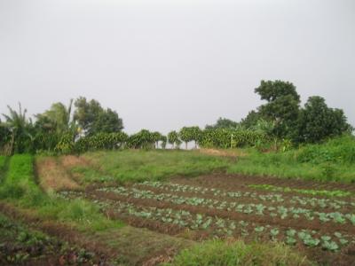 Hills in the Commonwealth of Dominica.