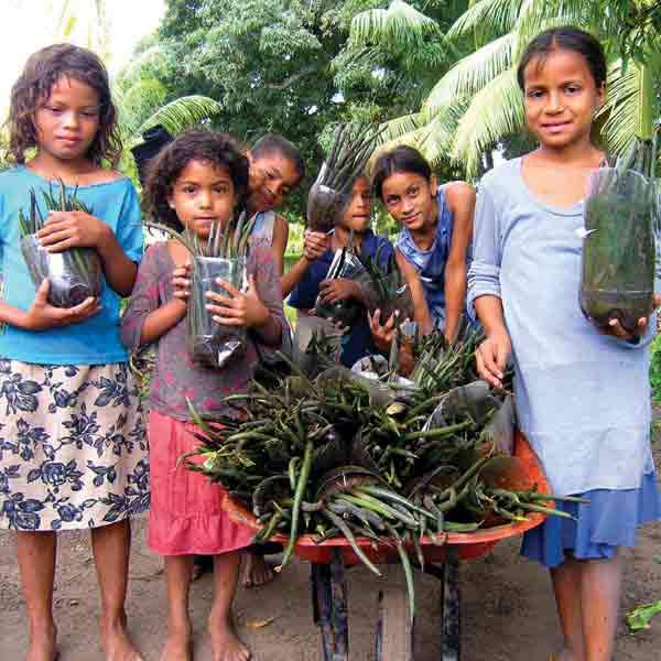 A Second Chance for Honduras’ Mangroves